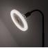 Rabalux SMD-LED 79231