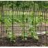 Sieť na uhorky s konštrukciou Strend Pro, 1,8x1,8 m
